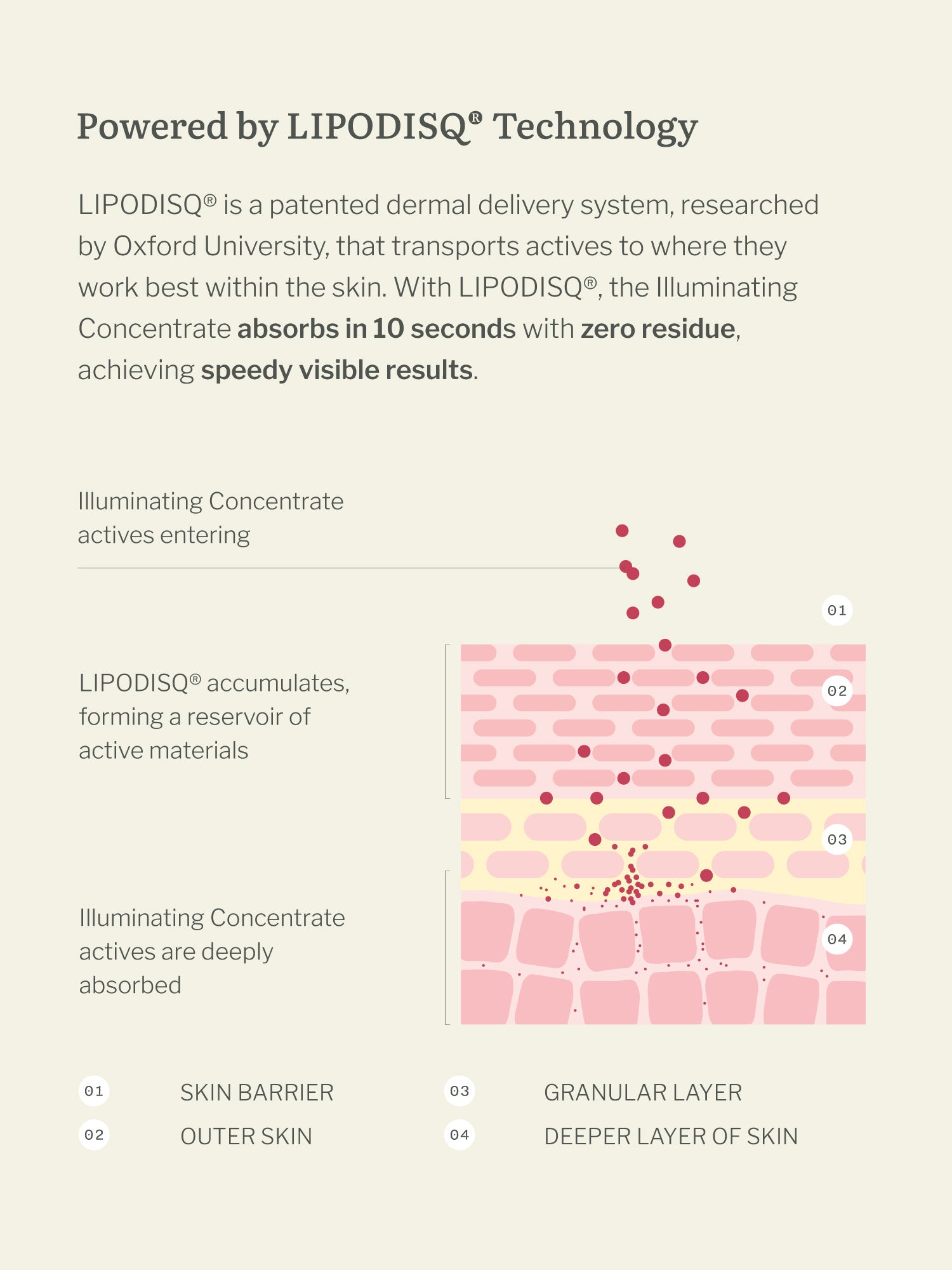 Illuminating Concentrate